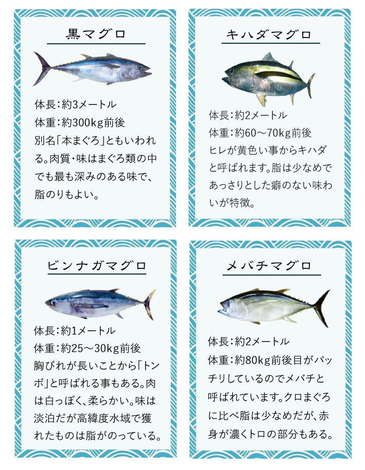 沖縄マグロの魅力 沖縄マグロを中心に新鮮な魚を全国へマルエイ商事